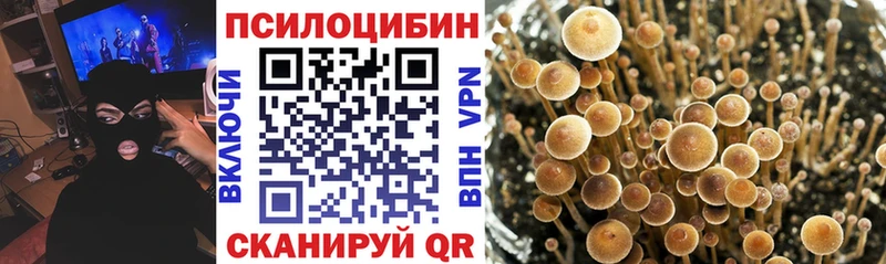 Галлюциногенные грибы прущие грибы  Аша 